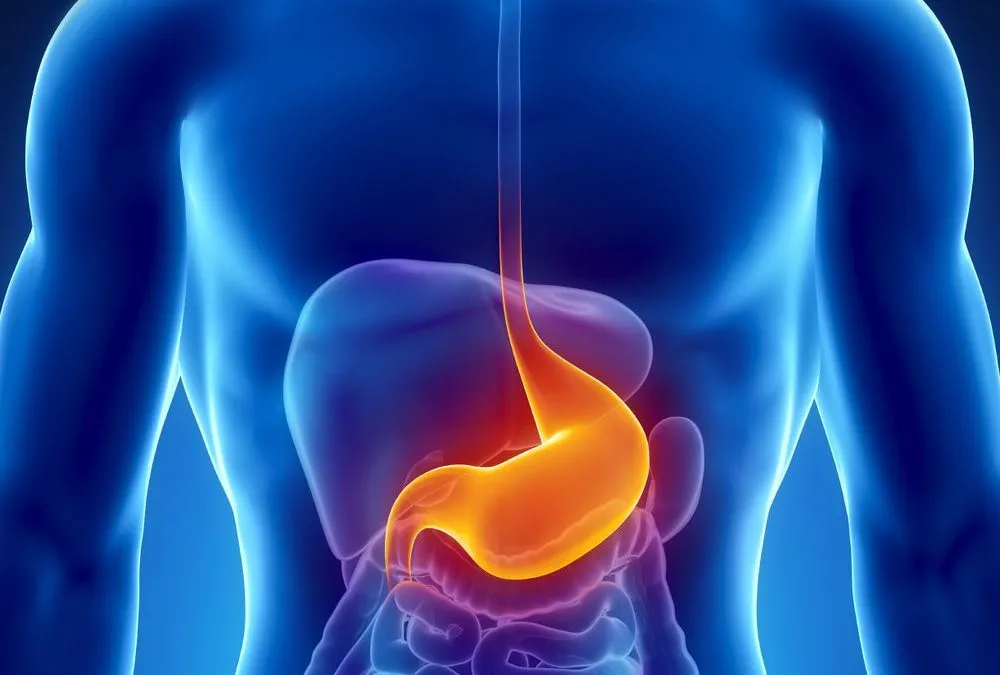 Hubungan antara Keasaman dan Fungsi Alami Tubuh